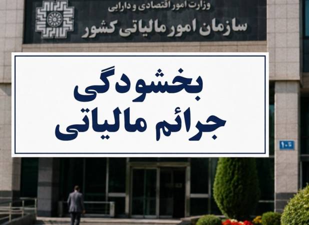 تشریح نحوه تعیین نرخ ارز فعالان اقتصادی در واردات بدون انتقال ارز
