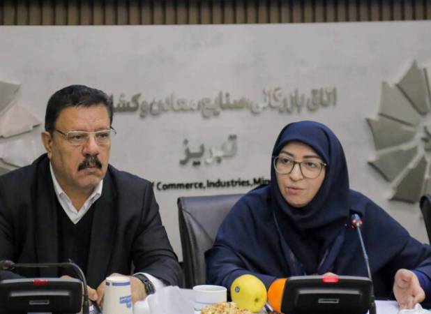 انصاری: صنعت و تولید باید همگام با محیط زیست رشد کند