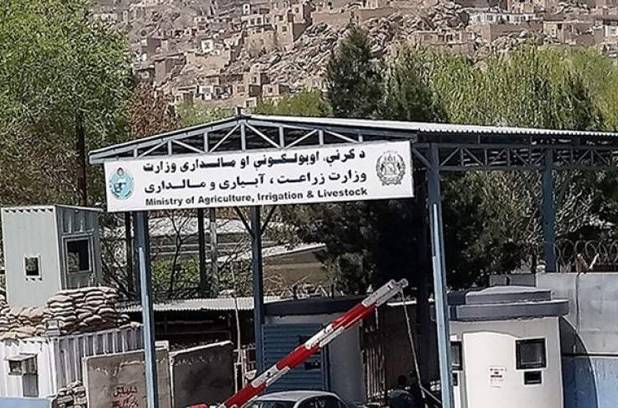 سفر هیئت بلندپایه وزارت زراعت افغانستان به روسیه
