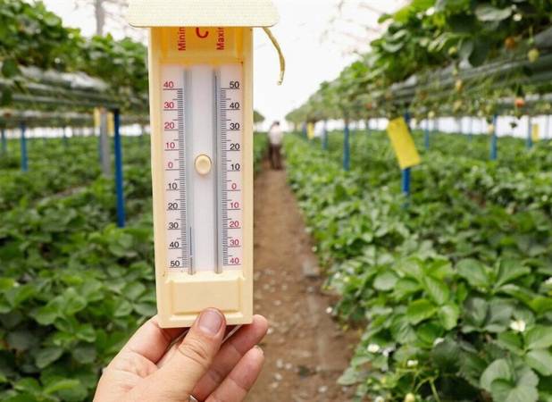 کاهش دما در برخی مناطق؛ احتمال سرمازدگی محصولات در مناطق سردسیر