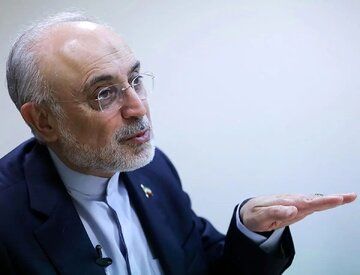 علی اکبر صالحی: چاقویی که ظاهرا آمریکا برای ایران تیز می‌کند در حقیقت برای چین و روسیه است | آمریکا به دنبال تقویت پترودلار است زیرا...