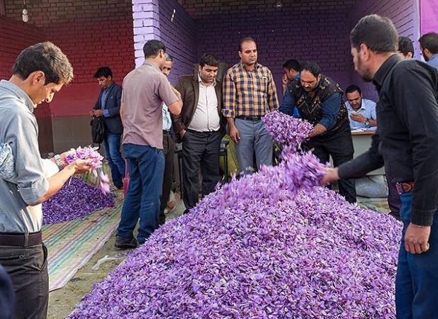 طلای سرخ ایرانی در افغانستان چه می‌کند؟